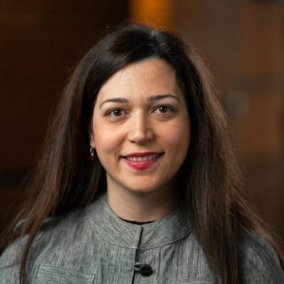 Professional headshot of Professor Sarira Motaref